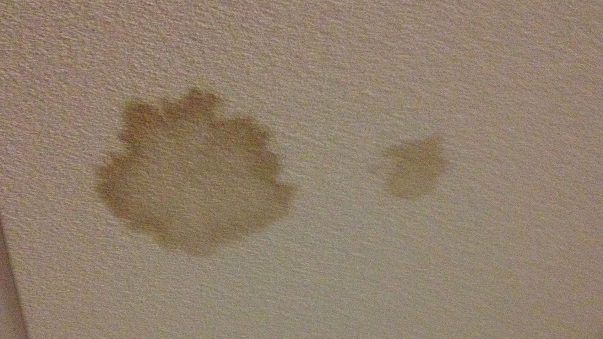 Ceiling Leak